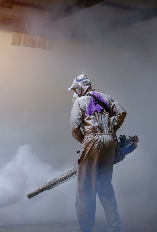 Spider Fumigation Service in Asheville, NC